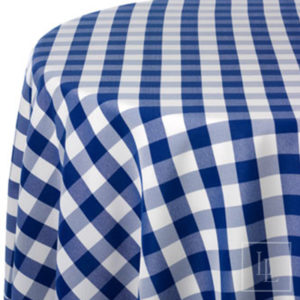 Blue and White Picnic Check