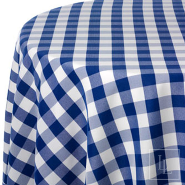 Blue and White Picnic Check