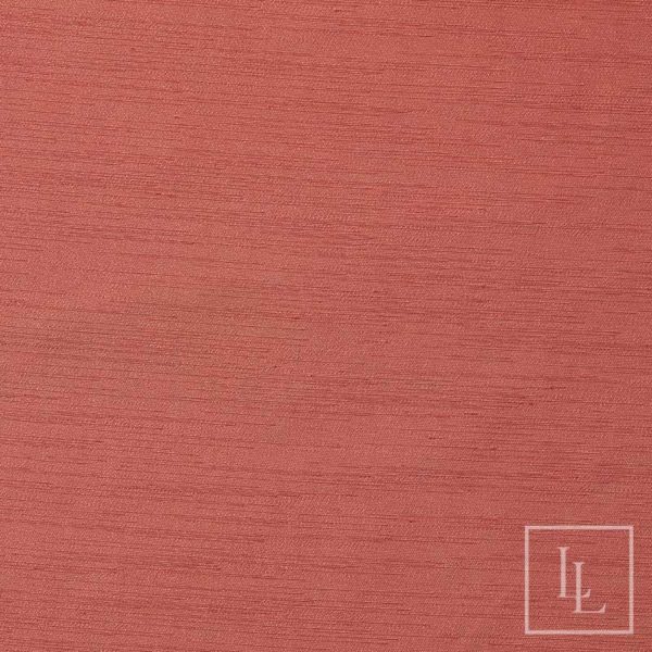 Coral Tulip