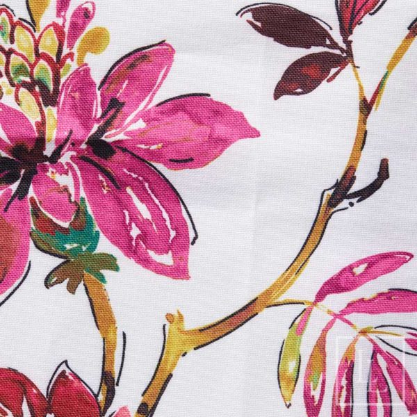 Liza Orchid