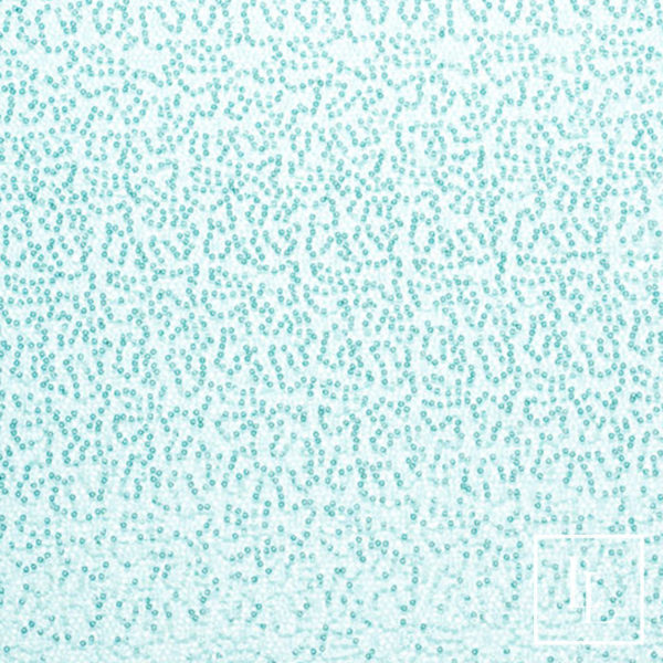 Mint Sequins