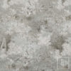 Silver Forest - Image 2