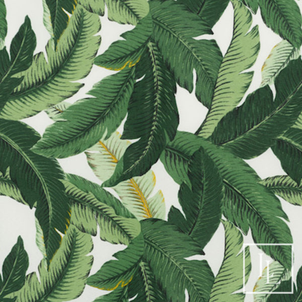 Tropical Paradise