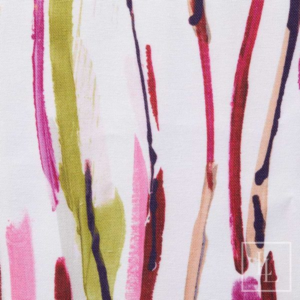 Ziggy Orchid