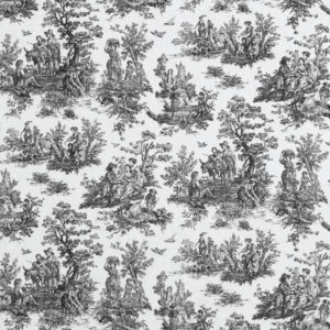 Black and White Toile