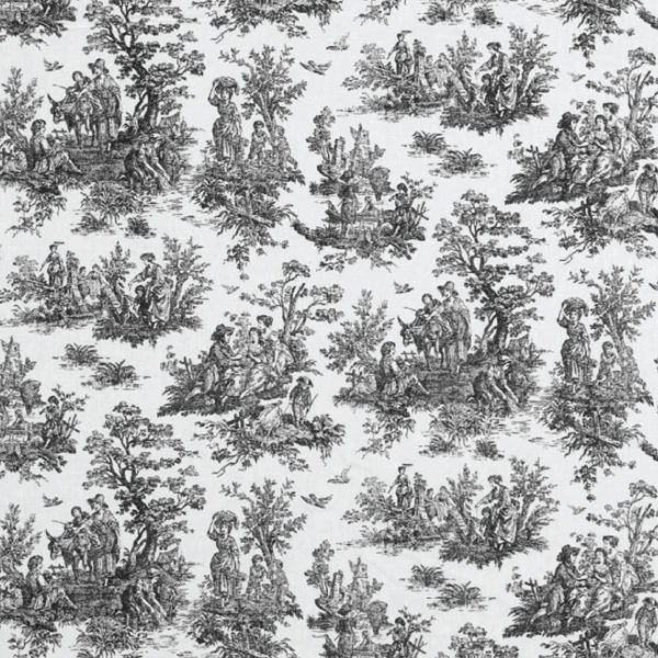 Black and White Toile