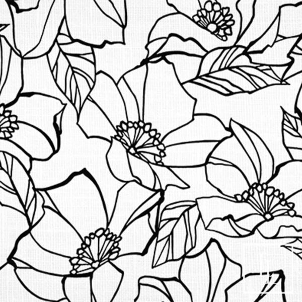 Modern Magnolia